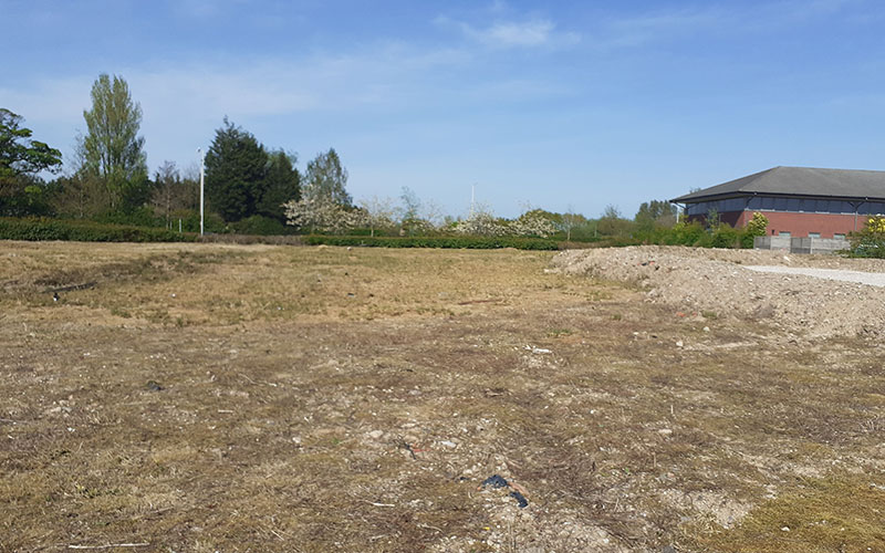 Weed Control & Site Vegetation Management