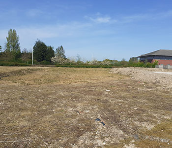Invasive Weed Control & Management