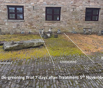 Invasive Weed Control & Management